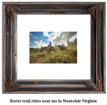 horse trail rides near me in Montclair, Virginia